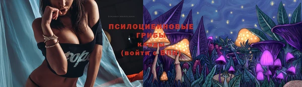 не бодяженный Арсеньев
