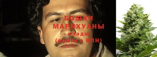 крисы Аркадак
